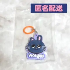 RIIZE トニャンドク　ウォンビン　まとめ売り Amazon.co.jp: RIIZE 1st ODYEY トニャンドク ウォンビン : おもちゃ