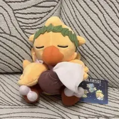 FF ファイナルファンタジー　AM　星座チョコボぬいぐるみ　みずがめ座
