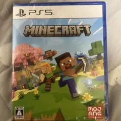 Minecraft PS5