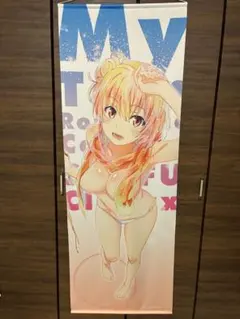 ダイナゼノン ムジナ 等身大 タペストリー どこプラ くじメイト - メルカリ