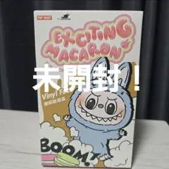 EXCITING MACARON ラブブ Lychee Berry