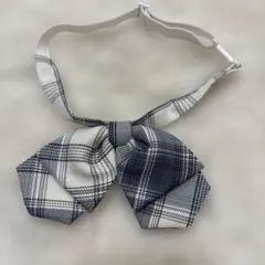 Item thumbnail for item bbec1feb-2a75-4008-905b-8d82df5289a8