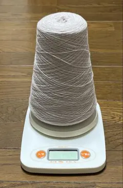 Item thumbnail for item 899b4201-2c9b-4959-9afc-298a6301ba71