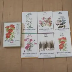 Item thumbnail for item d8f0d772-c63a-43ba-8102-45fa2048503d