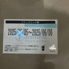 ディズニー　フリードリンク券　1枚