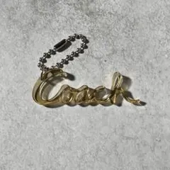 COACH Hangtag Charm Clear Brown Y2K