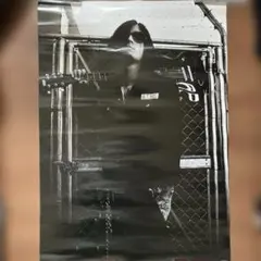 非売品3枚セットDIR EN GREY B2ポスター 薫 Die Toshiya - メルカリ