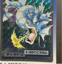 メ*ロ様 ポケモンカードダス ギャラドス