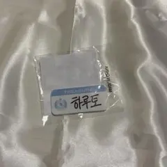 TREASURE カプセルトイ 名札 ハルト