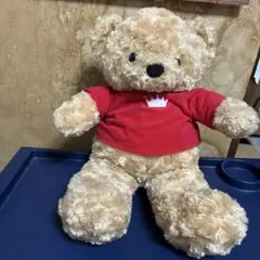 Item thumbnail for item aea90956-7df3-4270-bfc5-4b0730035233