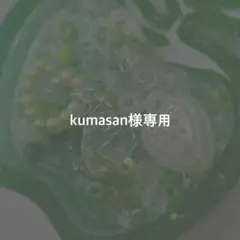 kumasan様 リクエスト 2点 まとめ商品