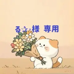 る✰⋆様　専用(1/29迄)