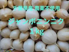 千葉県産 ジャンボニンニク１kg栽培期間中農薬不使用のサムネイル