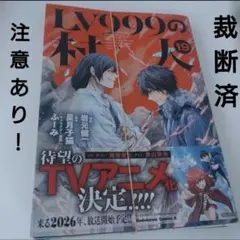 裁断済　LV999の村人 (19)