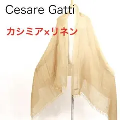 Item thumbnail for item 0c3460b4-c758-44b7-b9f0-ed093d868c87