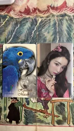 ヴィヴィ様 リクエスト 2点 まとめ商品