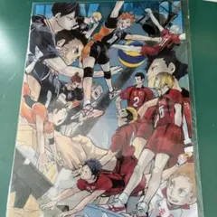新品未開封】ハイキュー　クリアファイル　原画