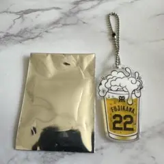 ぺーちゃん様【阪神グッズ】FUJIKAWA 22 アクリルキーホルダー