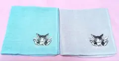 わちふぃーるど　猫のダヤン　タオル　未使用　2枚　セット