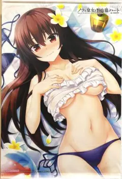 PS4 Switch版特典 ノラと皇女と野良猫ハート 黒木未知 タペストリー