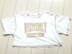 Tシャツ オーバーサイズ クロップド丈 レディース Mサイズ トップス