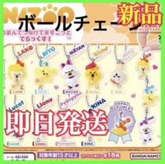 NIZOO つまんでつなげてますこっと でらっくす！ ガチャガチャ