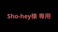 Sho-hey様 リクエスト 2点 まとめ商品