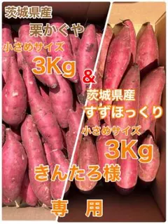 きんたろ様専用ページ