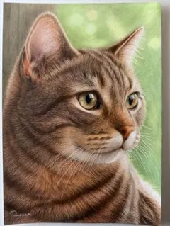 色鉛筆画A4キジトラ猫74 色鉛筆画A4キジトラ猫74 - メルカリ