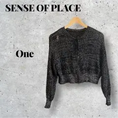 SENSE OF PLACE トップス カーディガン 長袖 黒 かぎ編み one