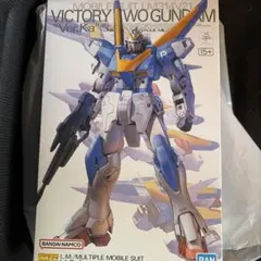 トカゲさん専用】MG 1/100 V2アサルトバスターガンダム Ver.Ka - メルカリ