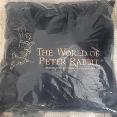 Item thumbnail for item 10f89e43-e495-4873-9f01-de273bded190