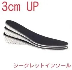 【新品】インソール シークレット 中敷き ３㎝UP 男女兼用　22.5〜27cm