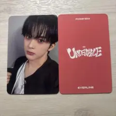 FANTASYBOYS everline ヨントン トレカ リンチー