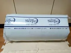 Item thumbnail for item 7258165c-a3fe-43fc-82e8-64121dfe6811