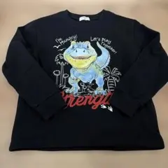 恐竜　ダイナソー　カットソー　やや厚手のロンT