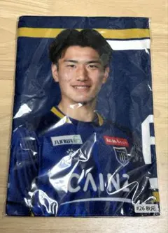 Item thumbnail for item d68c6823-dc00-448f-a397-d9094ebe077f