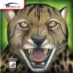 赤　2.0 Spinlord Gepard 卓球 表 ラバー A３