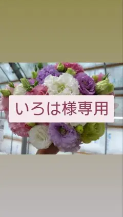 いろは様専用　トルコギキョウ　リシアンサス　切り花