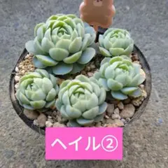 Sayoco❤️様 リクエスト 2点 まとめ商品