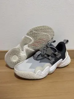 adidas Trae Young 1 "GY0302 " 27㎝のサムネイル