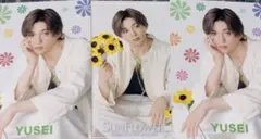 fantastics 八木勇征　sunflower フォトカード