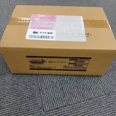 ヴァイス STEINS;GATE 中国版 簡体中文 1カートン - メルカリ