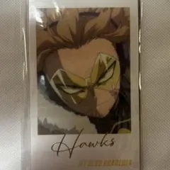 ヒロアカ Wフォトカードコレクション ホークス