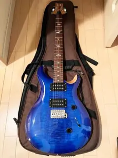 PRS se custom24 美品 2026年最新】prs se custom 24 中古の人気アイテム - メルカリ
