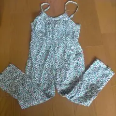 Dfesense ディーフェセンス　センス・オブ・ワンダー　サロペット　パンツ