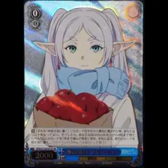 冬の装い フリーレン SR