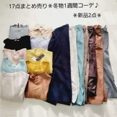 No.146＊Mサイズ＊17点まとめ売り＊新品2点＊トーナル、INGNI他