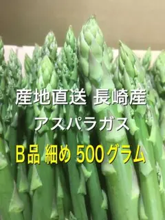 長崎産アスパラガス Ｂ品 細め 500グラムのサムネイル