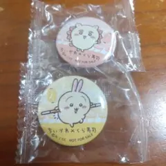 ちいかわ×くら寿司コラボ　限定缶バッチ　うさぎ、シーサー